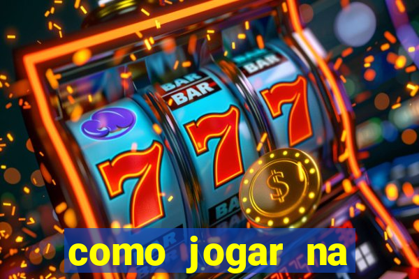 como jogar na lotinha do jogo do bicho